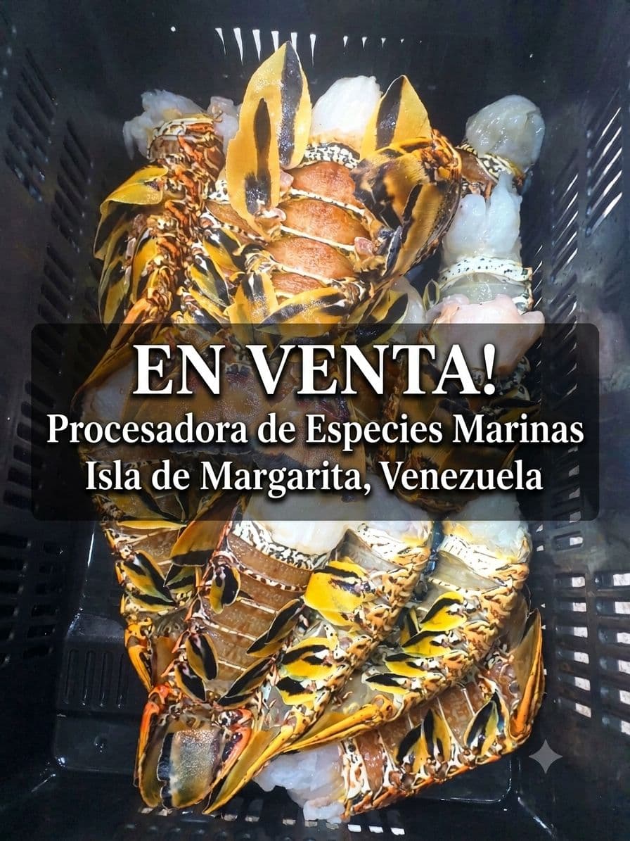 Procesadora de Especies Marinas, Porlamar, Nueva Esparta